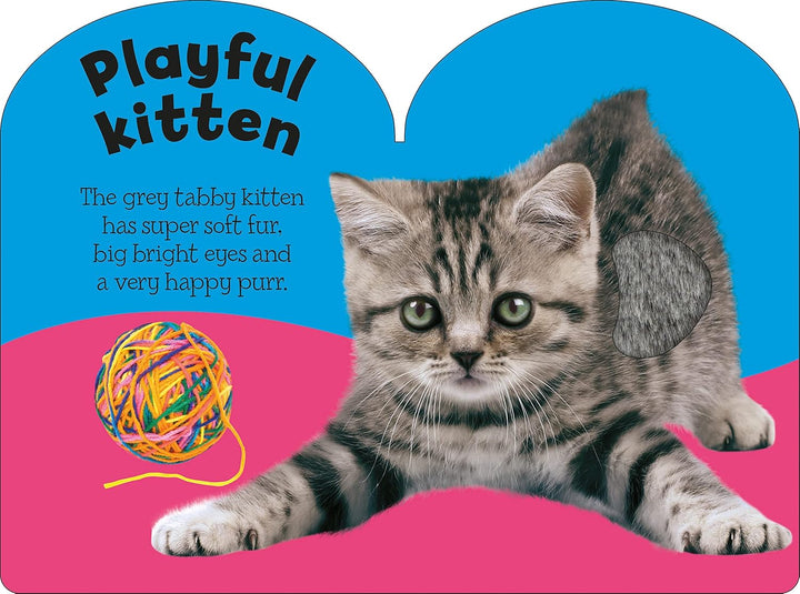 Baby Animals: Baby Touch & Feel