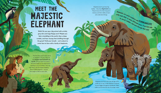 Extraordinary Elephants