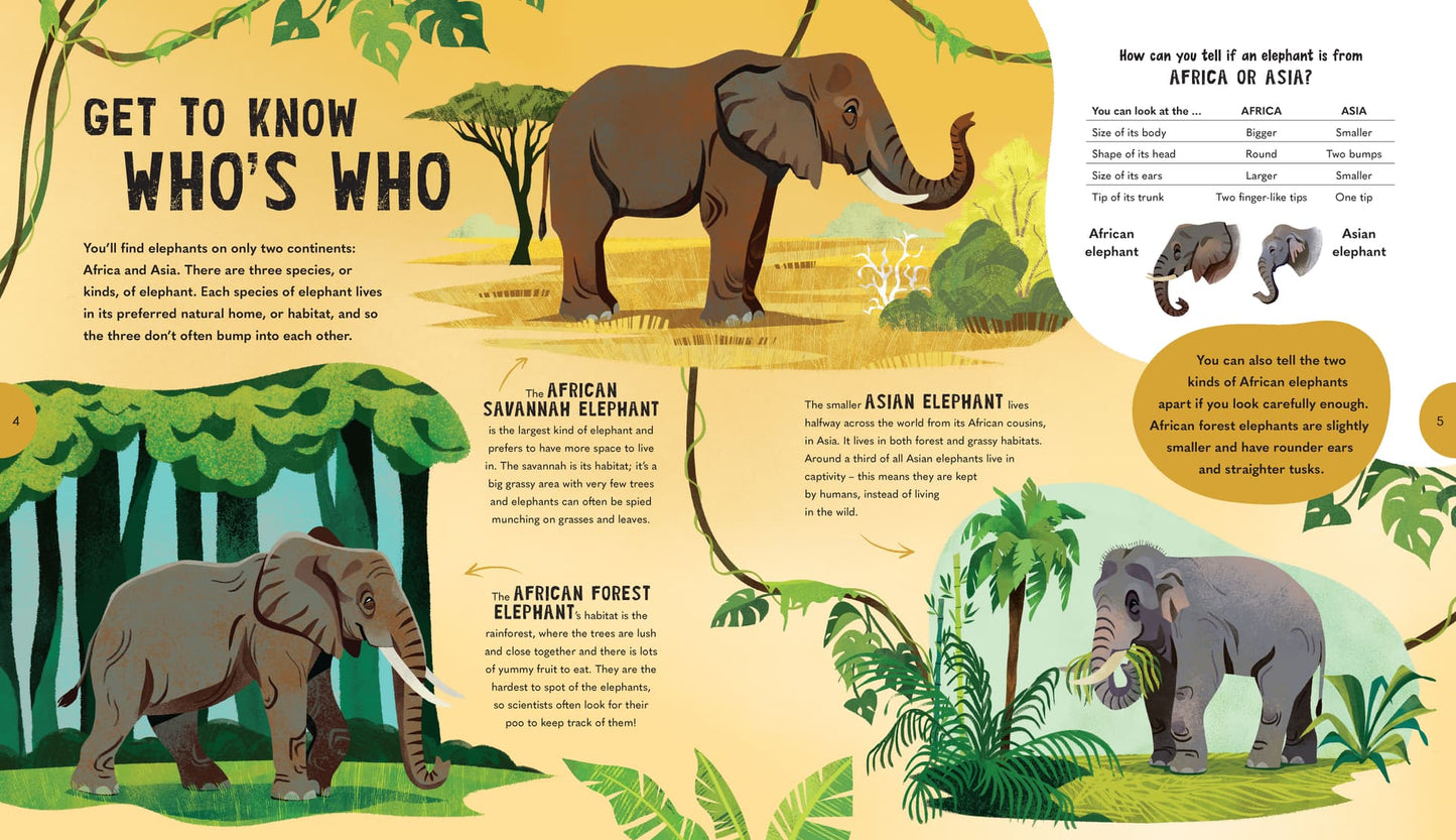 Extraordinary Elephants