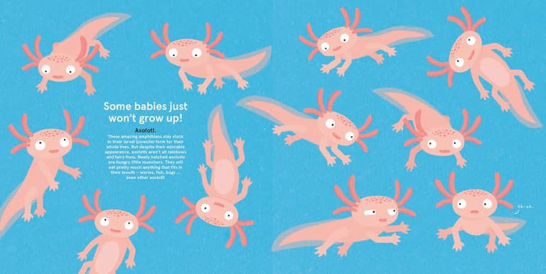 Wild About Babies