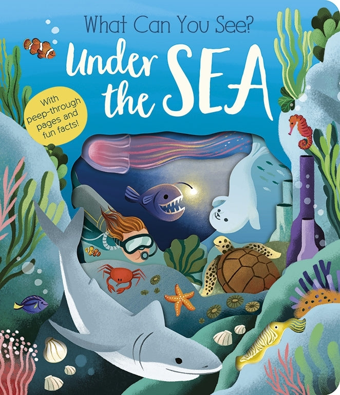 Book cover of 'What Can You See? Under the Sea' with underwater scene and text.