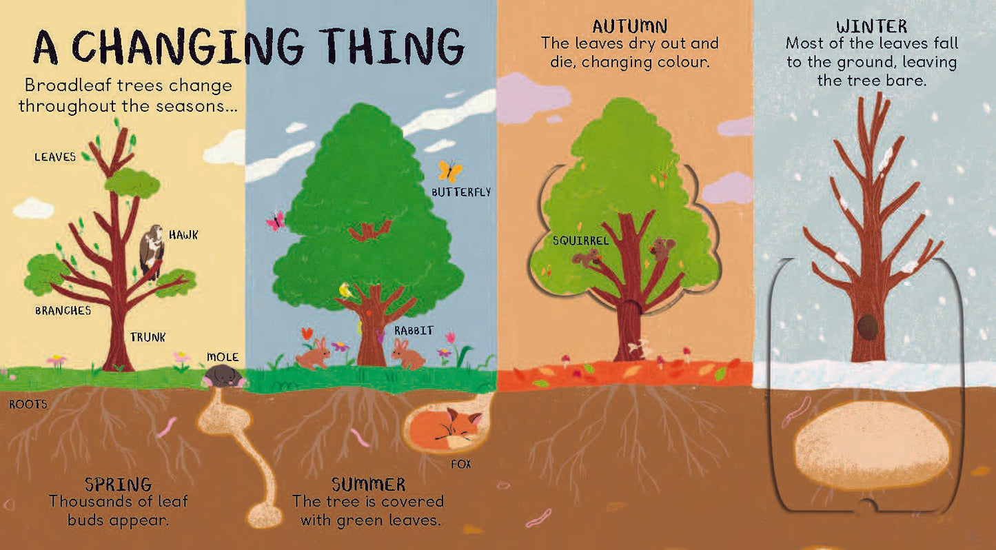 All The Things A Tree Can Be