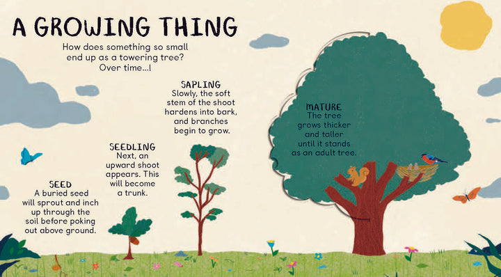 All The Things A Tree Can Be
