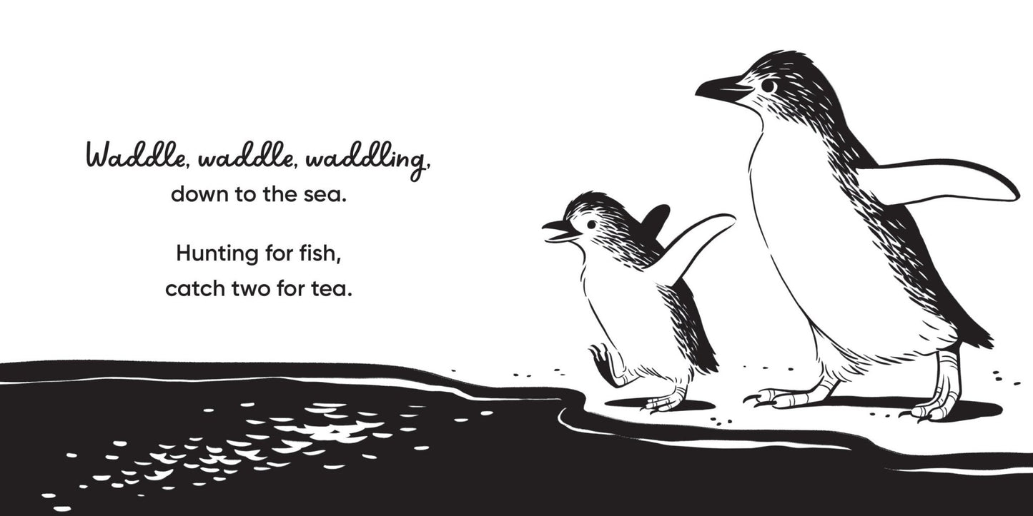 Aussie Bird Babies: A high - contrast board book