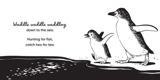 Aussie Bird Babies: A high - contrast board book