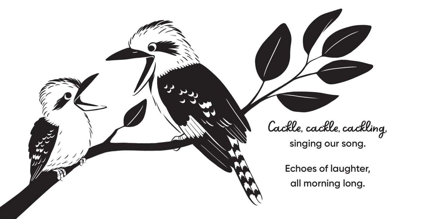 Aussie Bird Babies: A high - contrast board book