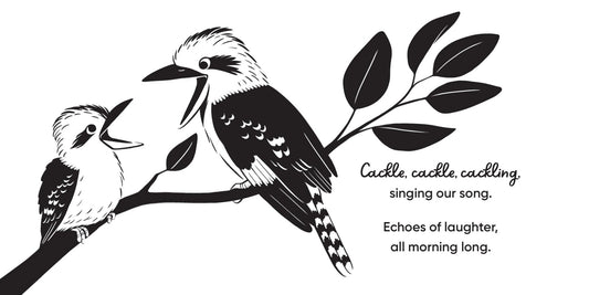 Aussie Bird Babies: A high - contrast board book