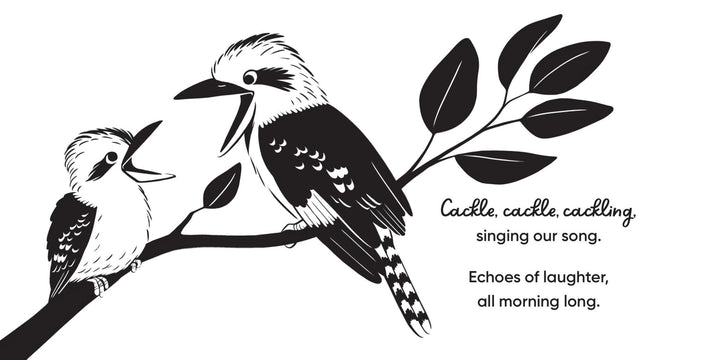 Aussie Bird Babies: A high - contrast board book