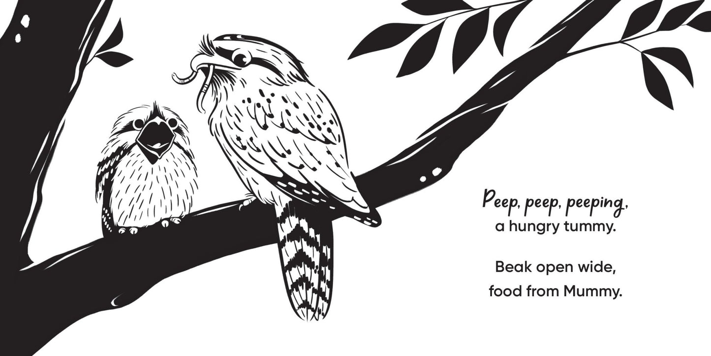 Aussie Bird Babies: A high - contrast board book