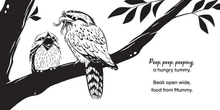 Aussie Bird Babies: A high - contrast board book