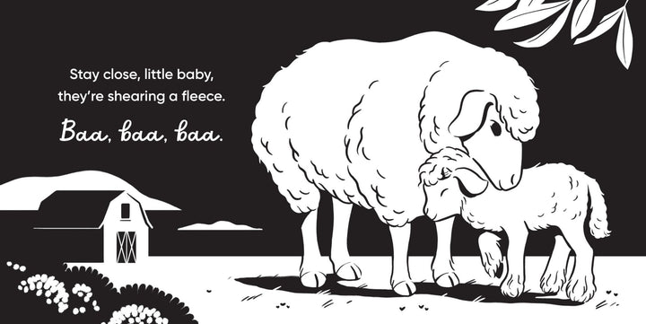 Aussie Farm Babies - A High Contrast Board Book