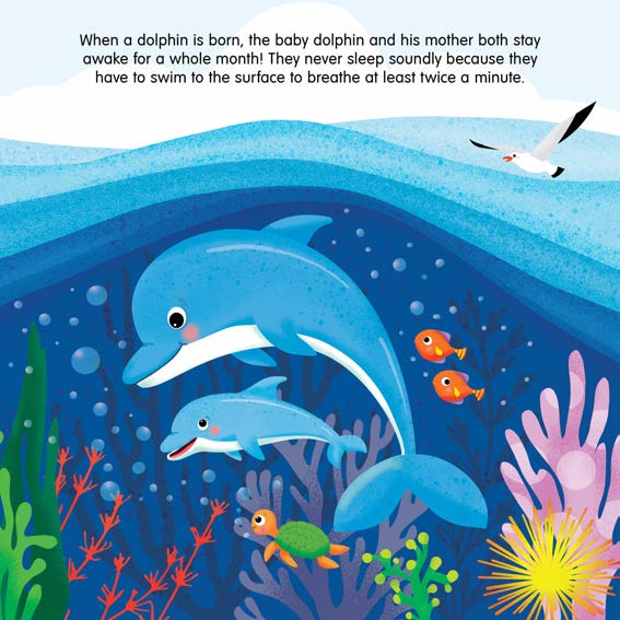 Bedtime Animal Families