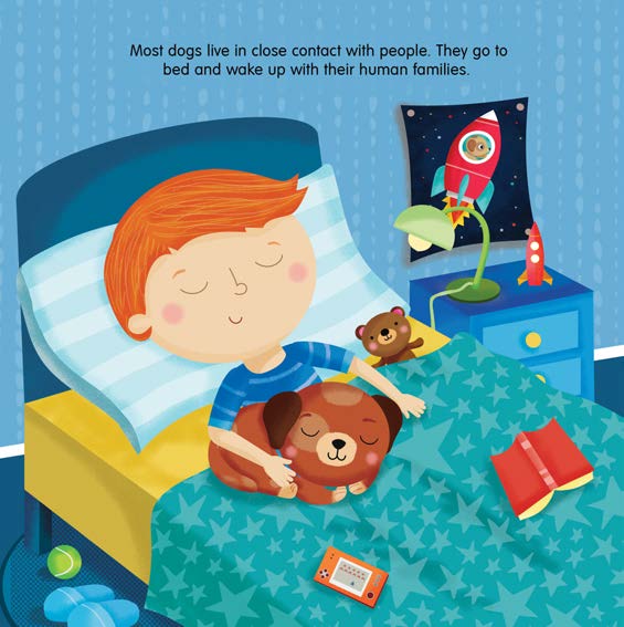Bedtime Animal Families