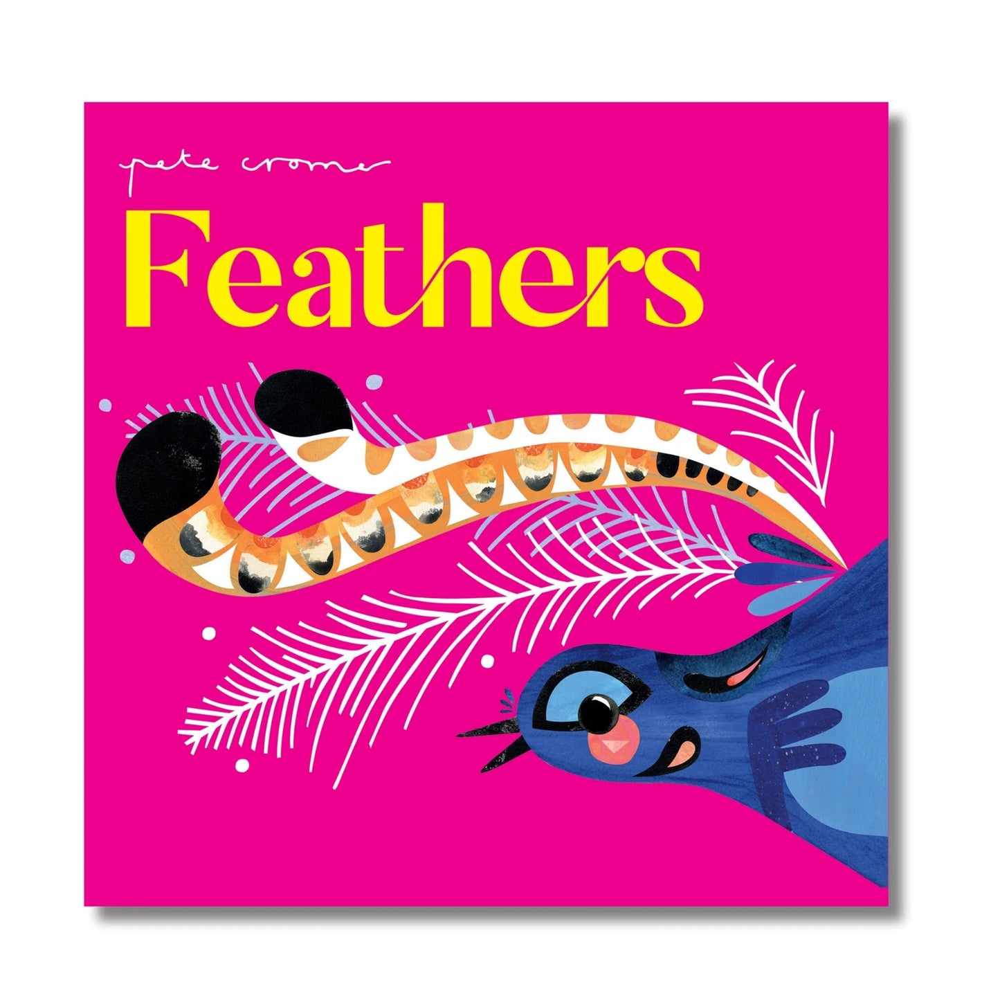 Feathers by Pete Cromer