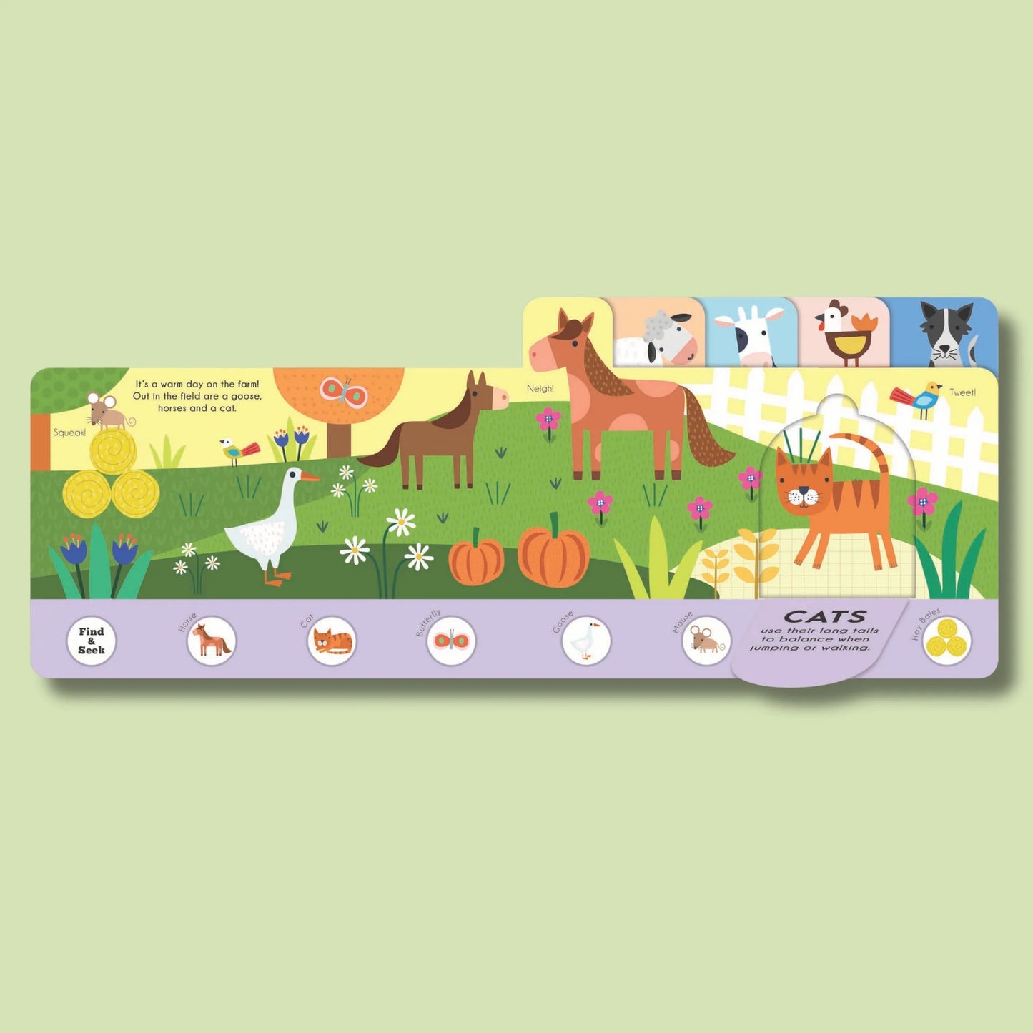 Find and Seek Farmyard Explorers