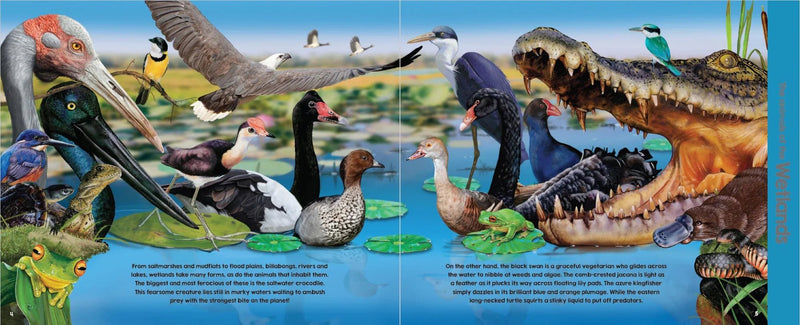 Garry Fleming's The Animals of Australia