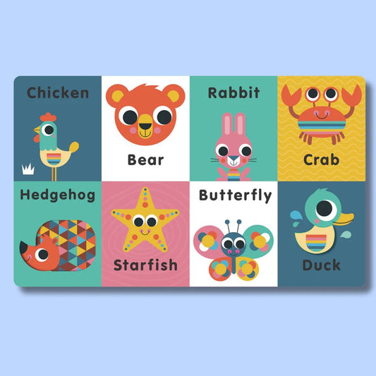 Little Learning Library: Animals by Sarah Lock