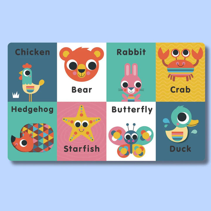 Little Learning Library: Animals by Sarah Lock