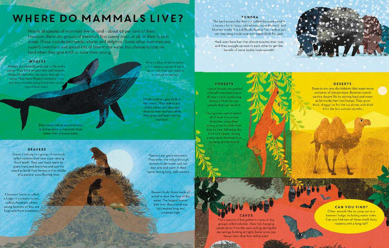 There Are Mammals Everywhere