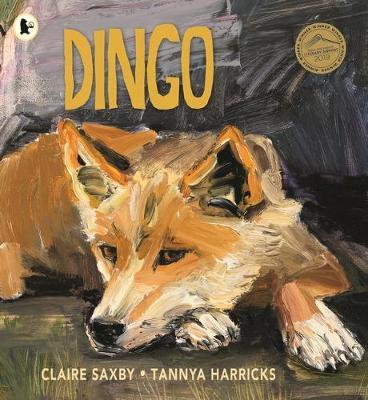 DINGO