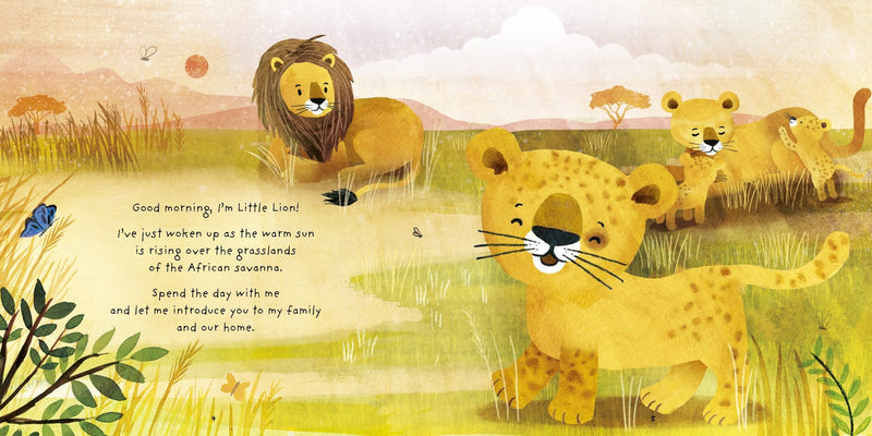 Little Lion - Really Wild Families